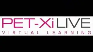 PET-Xi IT user skills programme