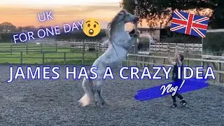 HORSE VLOG // James gets a CRAZY idea!