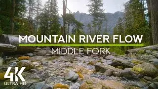 Birds Chirping & Mountain River Gentle Sounds - 4K Amazing View from Middle Fork Snoqualmie River