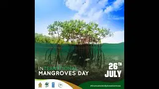 International Mangroves Day