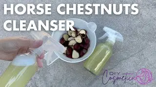 How To Make Horse Chestnuts Cleanser