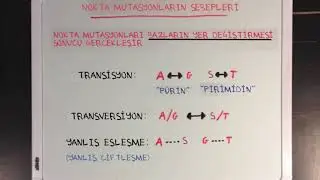 Genetik Mutasyonların Sebepleri (Fen Bilimleri) (Biyoloji)