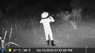 Hunting hog near the feeder. FAILED!