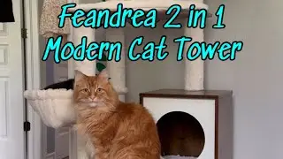 Feandrea 2 in 1 Modern Cat Tower