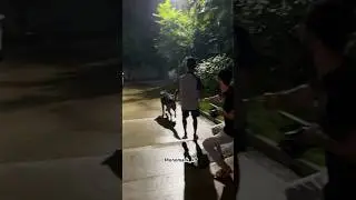 Aggressive DDR German Shepherd leash pulling🐾#monomark_k9 #gsd #offleashdogtraining #funny