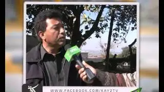Kashmir Solidarity Day , What people are saying?