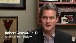 Robert Gereau, PhD, American Pain Society  