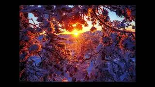 Liquid Fraction --  Cold Season Part 3 - Deep Ambient Techno  - 2025.
