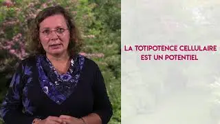 L'autre système de reproduction, asexuée  la multiplication végétative