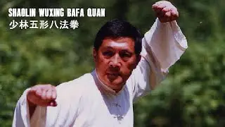 Shaolin Wuxing Bafa quan 五行八法  tutorial/ Master Qin Qingfeng 秦慶豐