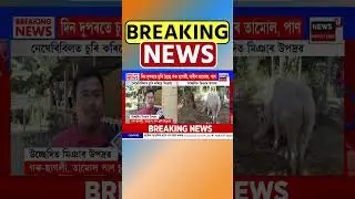 উচ্ছেদিত মিঞাৰ উপদ্ৰৱত অতিষ্ঠ নেঘেৰিবিলৰ স্থানীয় লোক | Negheribil Eviction News #shorts 20/11/25
