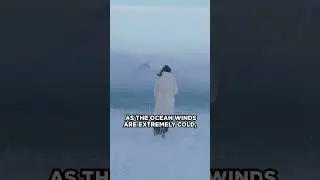 Из России до Аляски можно дойти пешком 🚶🏻🇺🇸🇷🇺