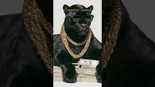 TRAP TYPE BEAT - 