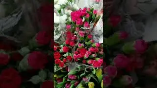 Kwiaty z marketu.#garden #love #flowers #music #