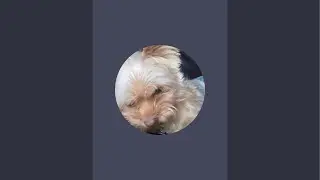 Boujee Nova is live!