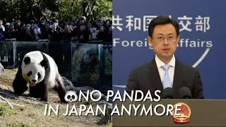Beijing confirms Japan's pandas will leave before February, invites panda lovers to China