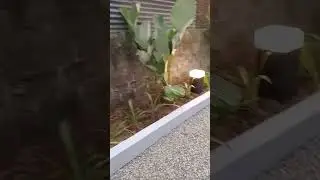 Pengerjaan Taman di Bandung 