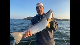 TRIPS ON THE BOAT S3:E13 Buzzards Bay Weakfish