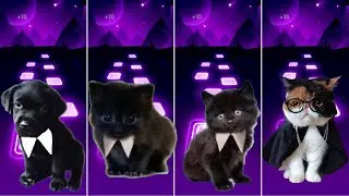 Cat vs Dog vs Cat vs Dog vs Tiles Hop EDM Rush