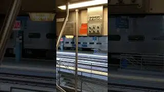 Car 7256, Budd Car Doors Closing #trains #metra