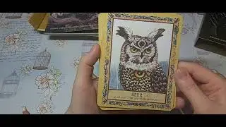 Secret Woods by Kelly Patton. Распаковка и обзор колоды.