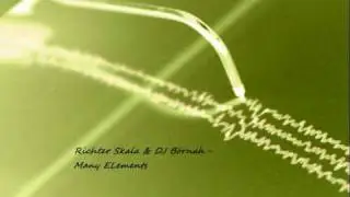 Richter Skala & Dj B&ouml;rnah - Many Elements.wmv