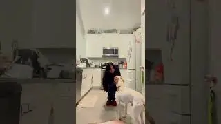 Unconditional love