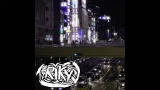 TORIKYU NIGHT CITY japanese human