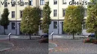 Autofocus comparison using the Lumix GH4 with Leica 25mm f/1.4 and Nikon V3 with 18.5mm f/1.8