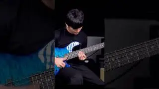 Brilliant Bass Guitar Performance On Lakland USA 55-94 Deluxe QMT I Bassist 남강현 (Kang Hyeon Nam)