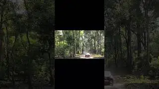 Nature's Embrace #Sitabaniforest #Amgarhi #uttarakhand #jimcorbett  #trendingshorts #viralvideo 💚🌳🌿