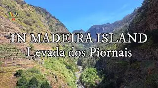 Hiking in Levada dos Piornais - IN MADEIRA ISLAND, 02/08/2022