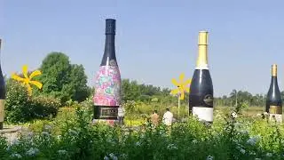 #sulavineyards#nashik#maharashtra magical weekend Rs800weekdayRs600 food/tour/wine tasting/experien