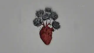 Static Love - CCX | [slowed + reverb] | Pascal  |  Lo-Fi Creator.