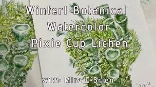pixie cup lichen watercolor class II Berlin Drawing Room