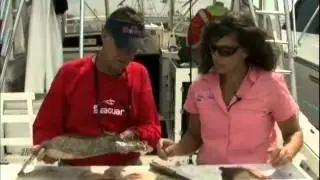 C-Devil II Sportfishing Block Island Fluke