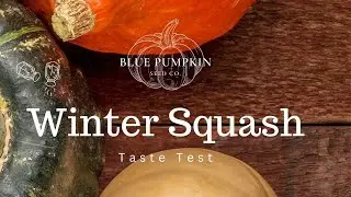 Winter squash taste test