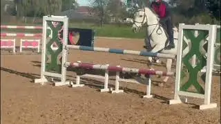 Top class 143 WHP/SHOWJUMPER. 
