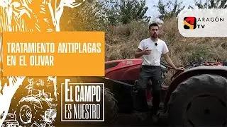 Tratamiento antiplagas en el olivar