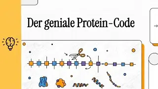RNA-Prozessierung und Spleißen | EINFACH ERKLÄRT