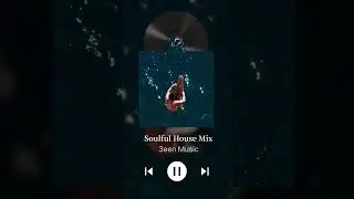 Soulful House - Highlight Mix (3een Music)