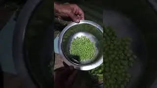 Easy way to shell peas/mutter