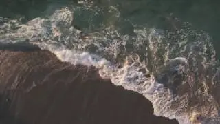 Surfrider Foundation-  Long Live The Beach