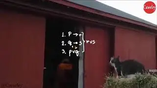 Math calculation of a cat to jump but failed 😂😂