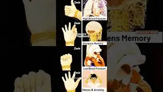 powerful mudras 💟 || #mudra #powerful #yogamudra #yoga #shorts