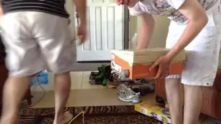 Taj the cat shoe box attack