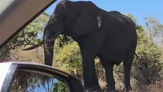Africa do Sul - Kruger Park - Orpen Gate - 2025