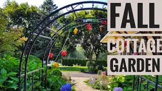 Fall Cottage Garden New York Zone 6-B Tour