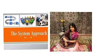 System Approach, Industrial Relations Approach,Dunlop System Theory/Theory Revisited,Hard Hits