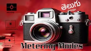In-Camera Metering Modes Explained